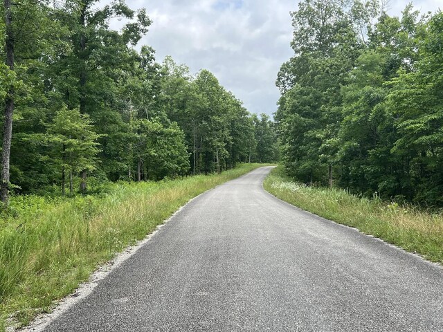 0 Slaughter Rd, Primm Springs, TN 38476