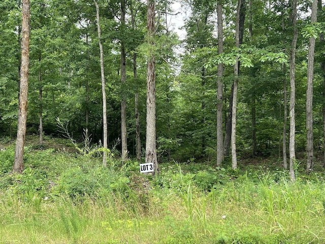 0 Slaughter Rd, Primm Springs, TN 38476