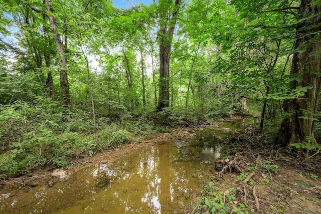 266 Mcbride Ln, Bradyville, TN 37026 - photo 50