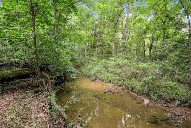 266 Mcbride Ln, Bradyville, TN 37026 - photo 48