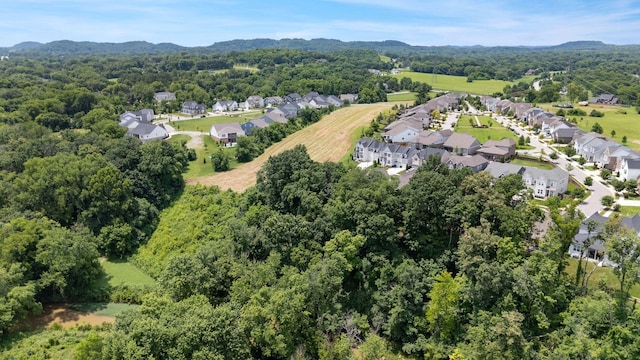2025 Cabell Dr, Franklin, TN 37064 - photo 54