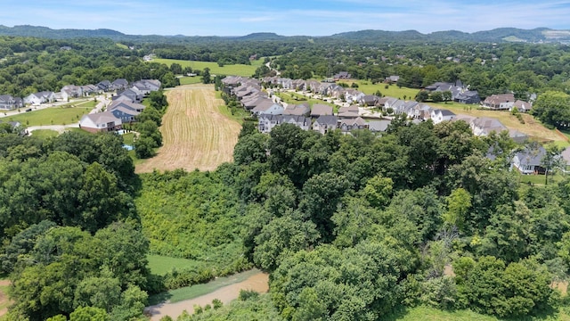 2025 Cabell Dr, Franklin, TN 37064 - photo 55