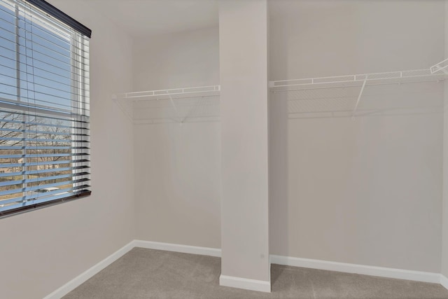 828 Knox Crest Dr, Lebanon, TN 37090 - photo 26