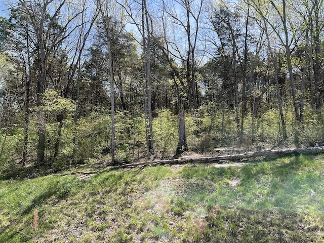 828 Knox Crest Dr, Lebanon, TN 37090 - photo 33