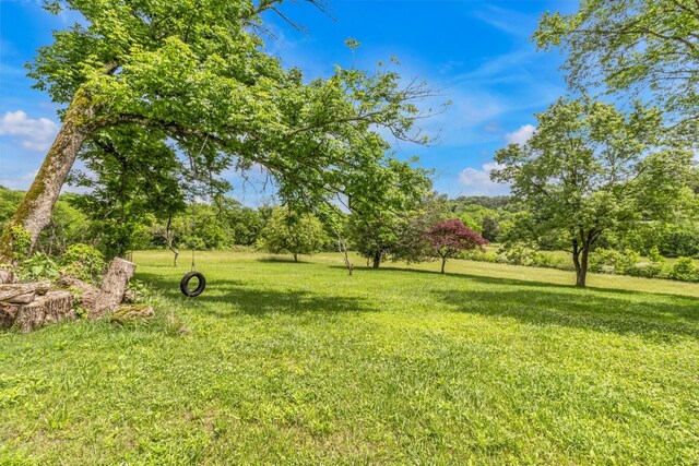 14 Oak Ln, Pleasant Shade, TN 37145 - photo 30