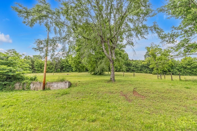 14 Oak Ln, Pleasant Shade, TN 37145 - photo 32