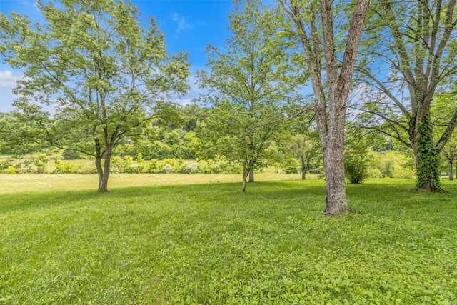 14 Oak Ln, Pleasant Shade, TN 37145 - photo 29