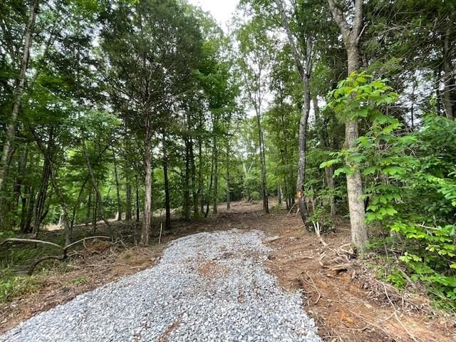 2 Chapel Hill Rd, Southside, TN 37171 - photo 1