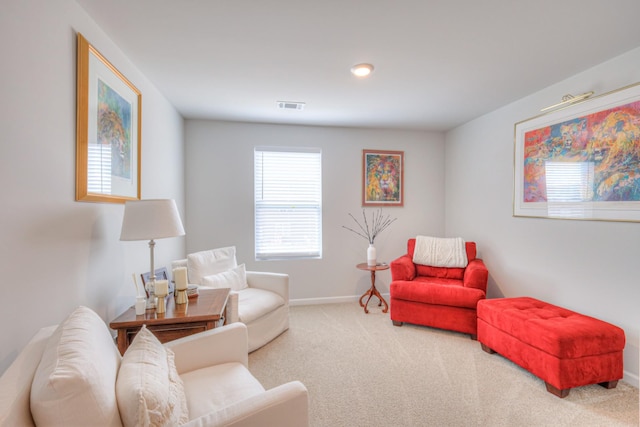 207 Welara St, Murfreesboro, TN 37129 - carpeted living area with baseboards