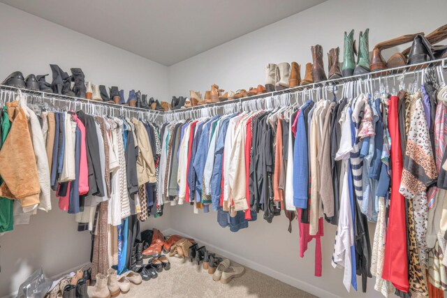 207 Welara St, Murfreesboro, TN 37129 - spacious closet featuring carpet floors