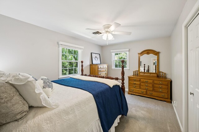 2233 Tomahawk Trce, Murfreesboro, TN 37129 - photo 27