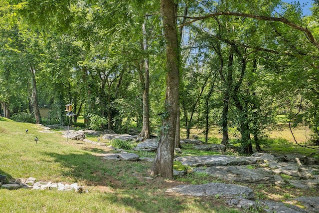2233 Tomahawk Trce, Murfreesboro, TN 37129 - photo 37