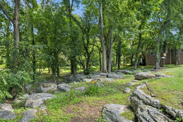 2233 Tomahawk Trce, Murfreesboro, TN 37129 - photo 38