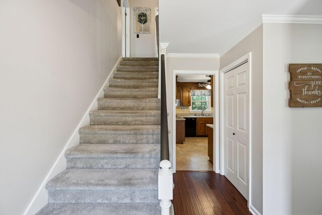 2233 Tomahawk Trce, Murfreesboro, TN 37129 - photo 21