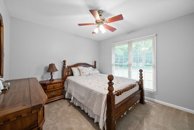 31 White Oak Rd, Stewart, TN 37175 - photo 24