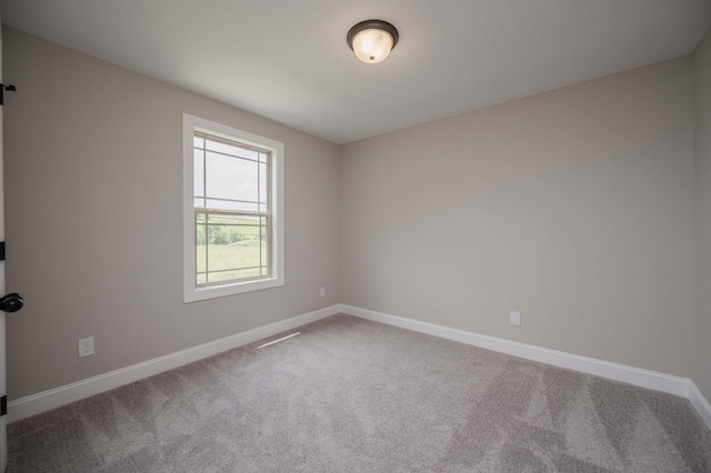 139 Bruce Meadows Dr, Beechgrove, TN 37018 - photo 32