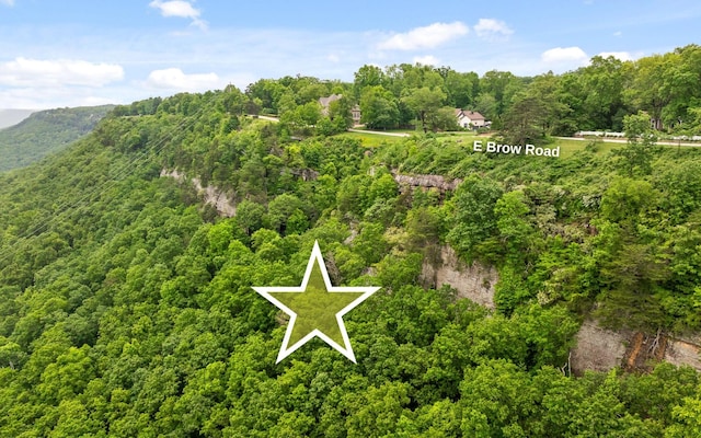 0 E Brow Rd, Signal Mountain, TN 37377