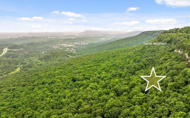 0 E Brow Rd, Signal Mountain, TN 37377