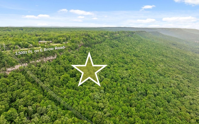 0 E Brow Rd, Signal Mountain, TN 37377