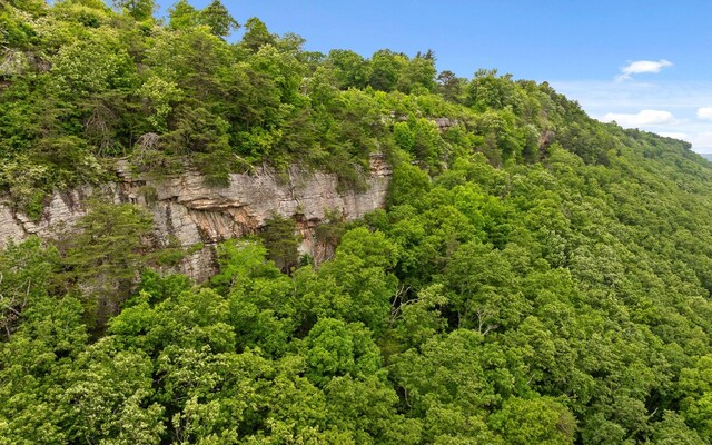 0 E Brow Rd, Signal Mountain, TN 37377