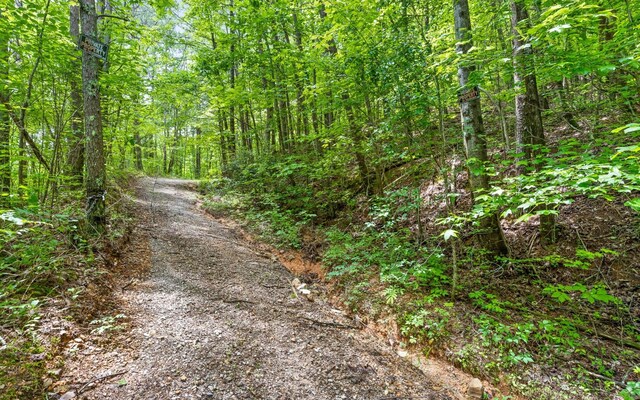 0 E Brow Rd, Signal Mountain, TN 37377