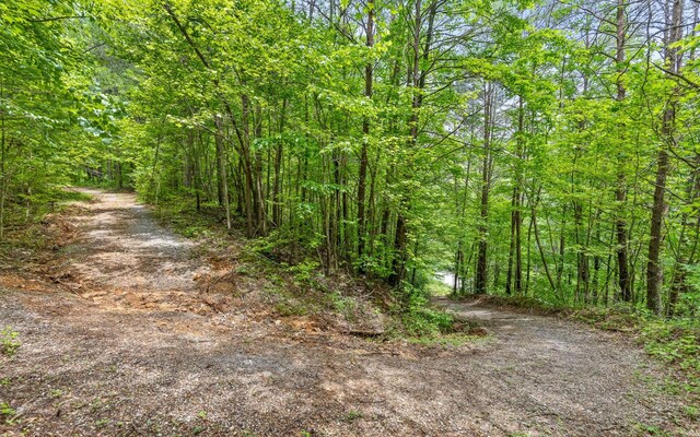 0 E Brow Rd, Signal Mountain, TN 37377