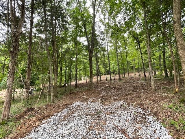 3 Chapel Hill Rd, Southside, TN 37171 - photo 1