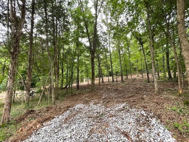 3 Chapel Hill Rd, Southside, TN 37171 - photo 1