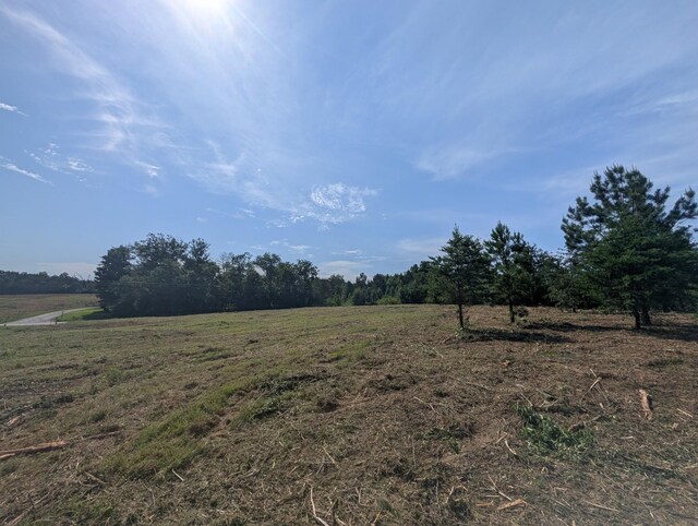 0 Bluff Springs Rd, Mcminnville, TN 37110 - photo 8