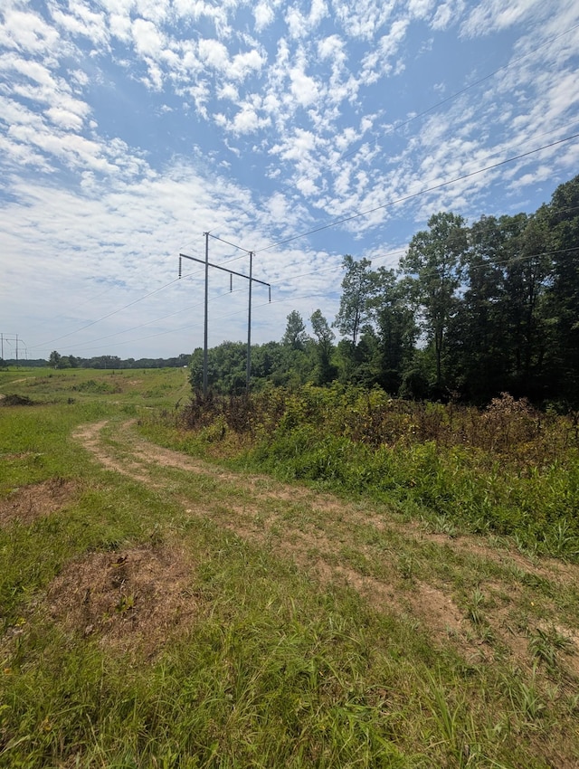 0 Bluff Springs Rd, Mcminnville, TN 37110 - photo 16