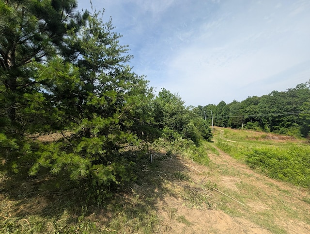 0 Bluff Springs Rd, Mcminnville, TN 37110 - photo 9