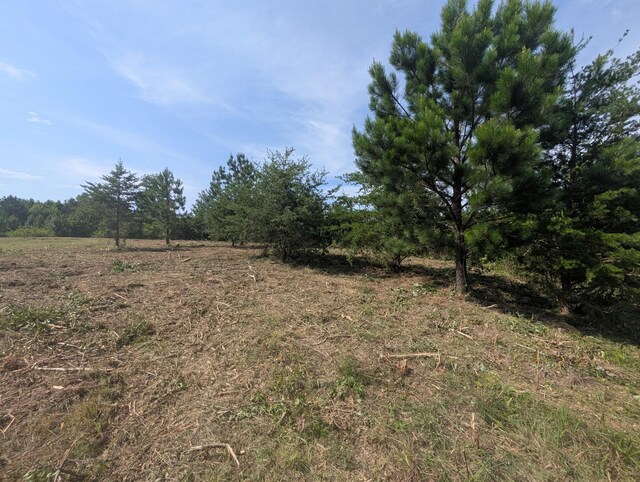 0 Bluff Springs Rd, Mcminnville, TN 37110 - photo 10