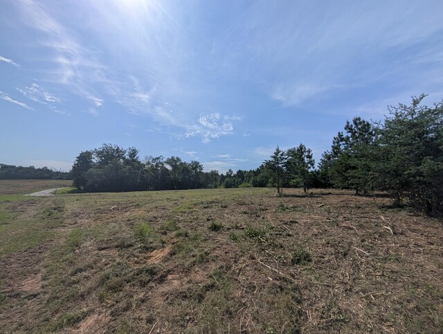 0 Bluff Springs Rd, Mcminnville, TN 37110 - photo 11