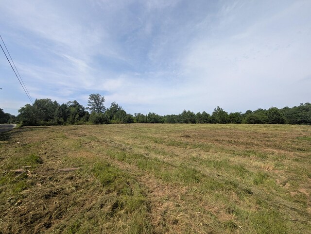 0 Bluff Springs Rd, Mcminnville, TN 37110 - photo 3
