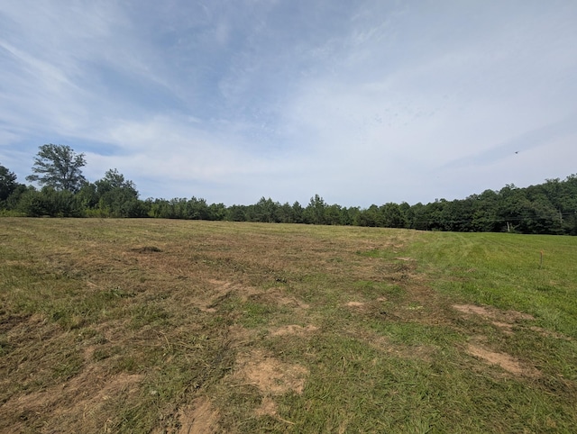 0 Bluff Springs Rd, Mcminnville, TN 37110 - photo 2