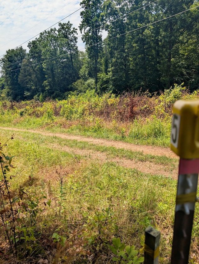 0 Bluff Springs Rd, Mcminnville, TN 37110 - photo 15