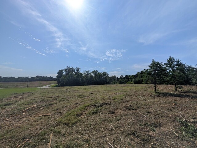 0 Bluff Springs Rd, Mcminnville, TN 37110 - photo 6