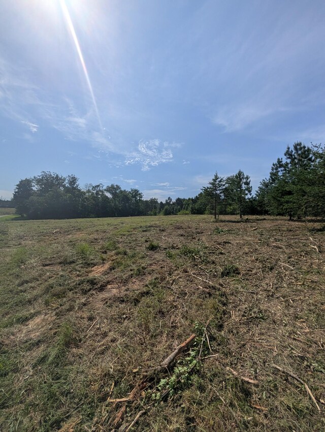 0 Bluff Springs Rd, Mcminnville, TN 37110 - photo 12