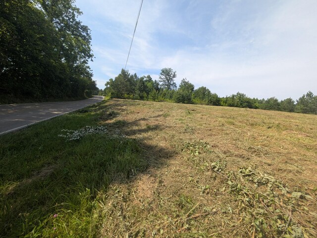 0 Bluff Springs Rd, Mcminnville, TN 37110 - photo 5