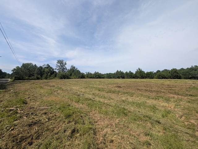 0 Bluff Springs Rd, Mcminnville, TN 37110 - photo 4