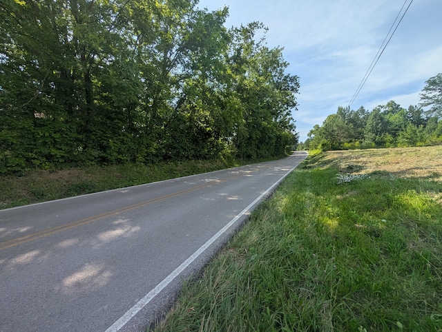 0 Bluff Springs Rd, Mcminnville, TN 37110 - photo 2