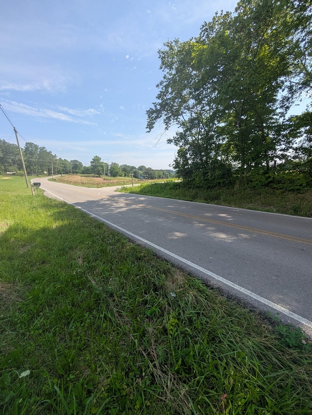 0 Bluff Springs Rd, Mcminnville, TN 37110 - photo 1
