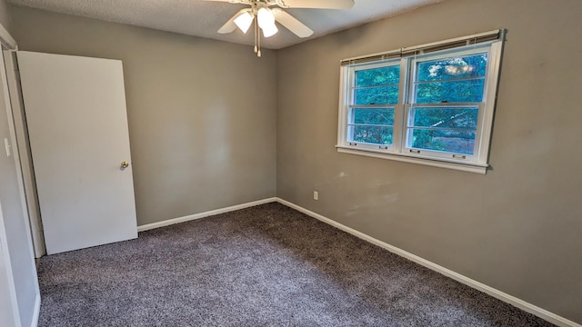 295 Cheshire Rd, Clarksville, TN 37043 - photo 17