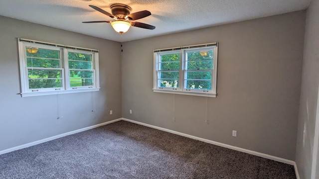295 Cheshire Rd, Clarksville, TN 37043 - photo 11