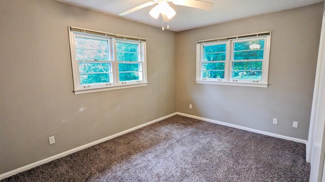 295 Cheshire Rd, Clarksville, TN 37043 - photo 15
