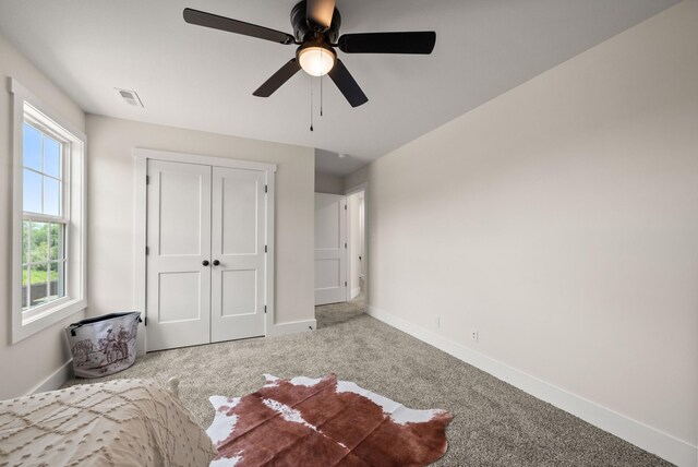 536 Falkland Cir, Clarksville, TN 37042 - photo 28