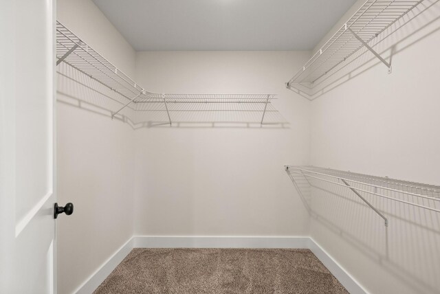 536 Falkland Cir, Clarksville, TN 37042 - photo 23