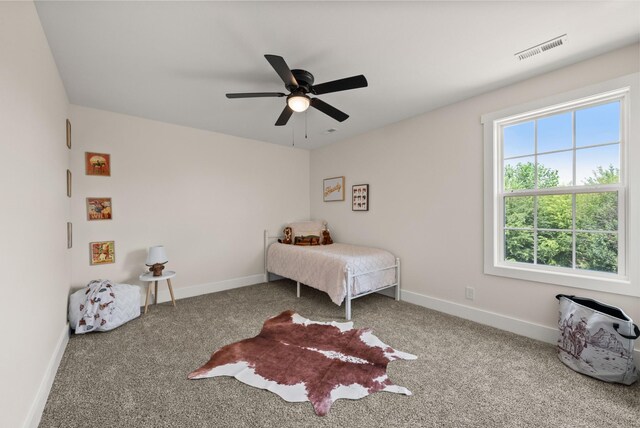 536 Falkland Cir, Clarksville, TN 37042 - photo 27