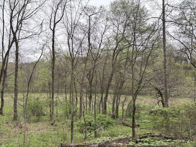 0 Cathcart Rd, Frankewing, TN 38459 - photo 7