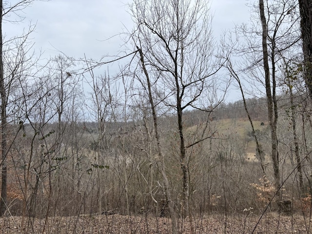 0 Cathcart Rd, Frankewing, TN 38459 - photo 9